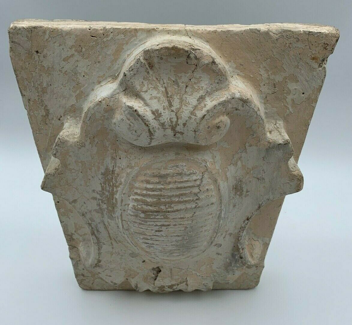 STONE SHELL 19TH PATINA OF ORIGIN SCULPTURE