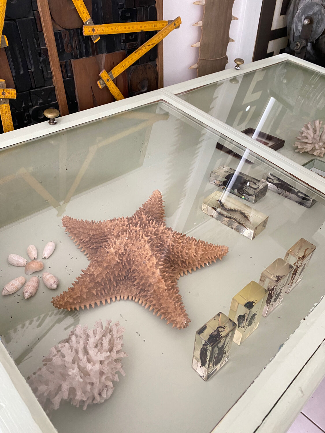 Display case with double glass