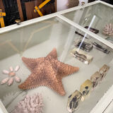 Display case with double glass