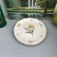 Flat plates stamped saline France