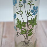 Ancient botanical jar Ranunculus Acris