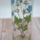 Ancient botanical jar Ranunculus Acris