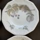 6 Rosenthal soup plates