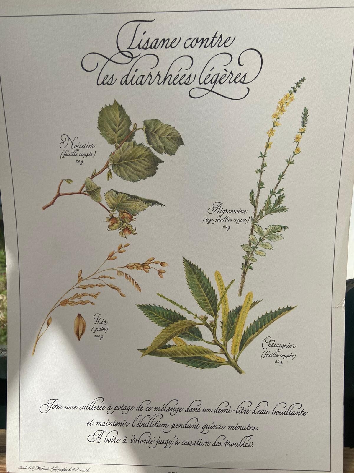 Botanical plank "Tisane against mild diarrhea"