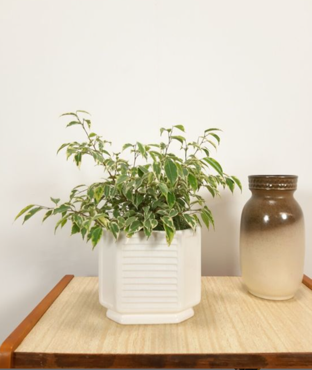 White vintage pot cover with stripes