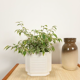 White vintage pot cover with stripes