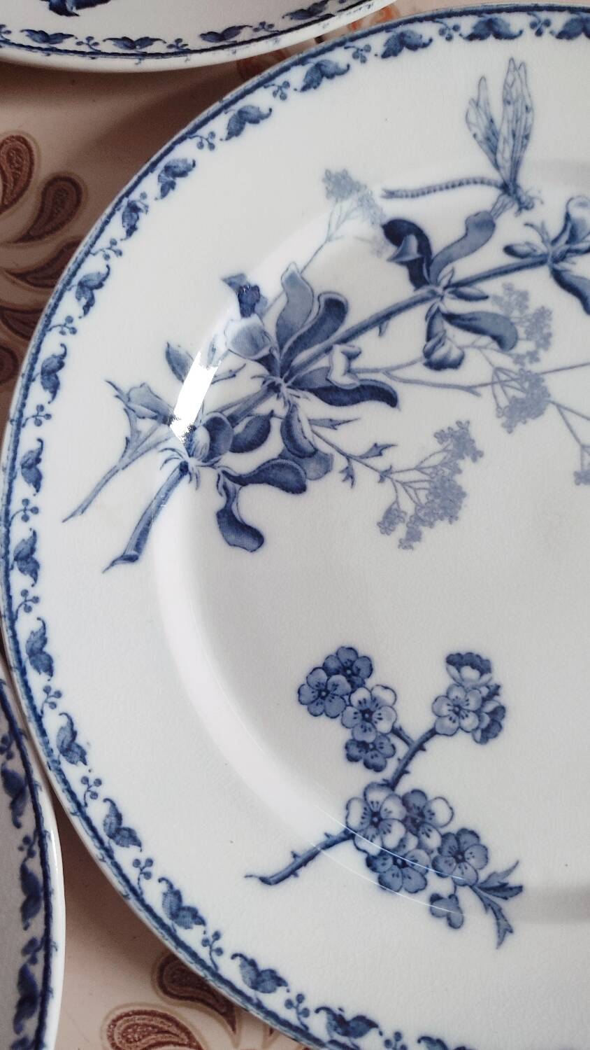 5 Carmen dinner plates by UetC Sarreguemines