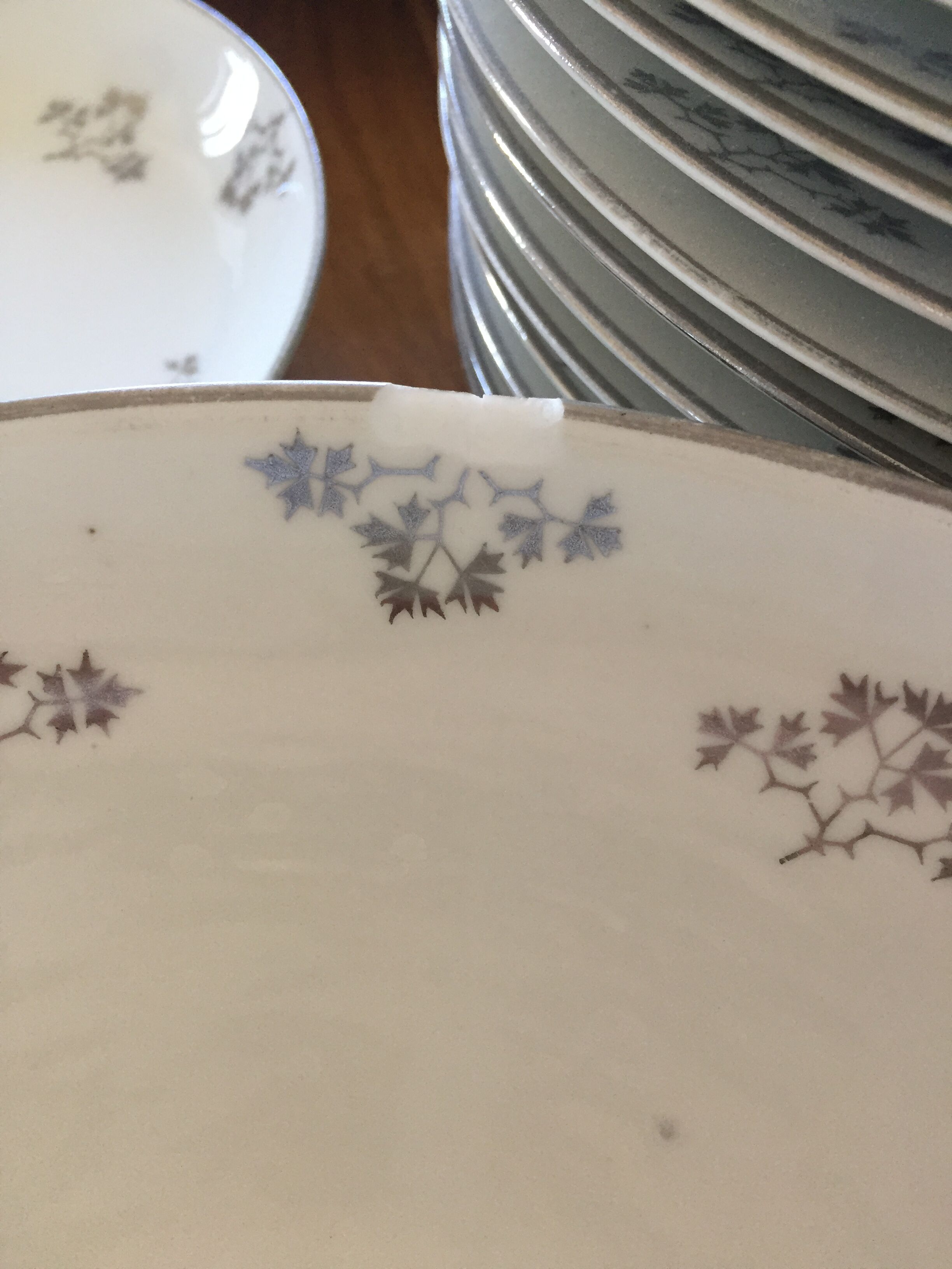 Service 70 pieces porcelain from limoges art deco