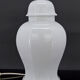Pied de lampe en porcelaine blanche par Pillivuyt, Japonisme, France, circa 1970