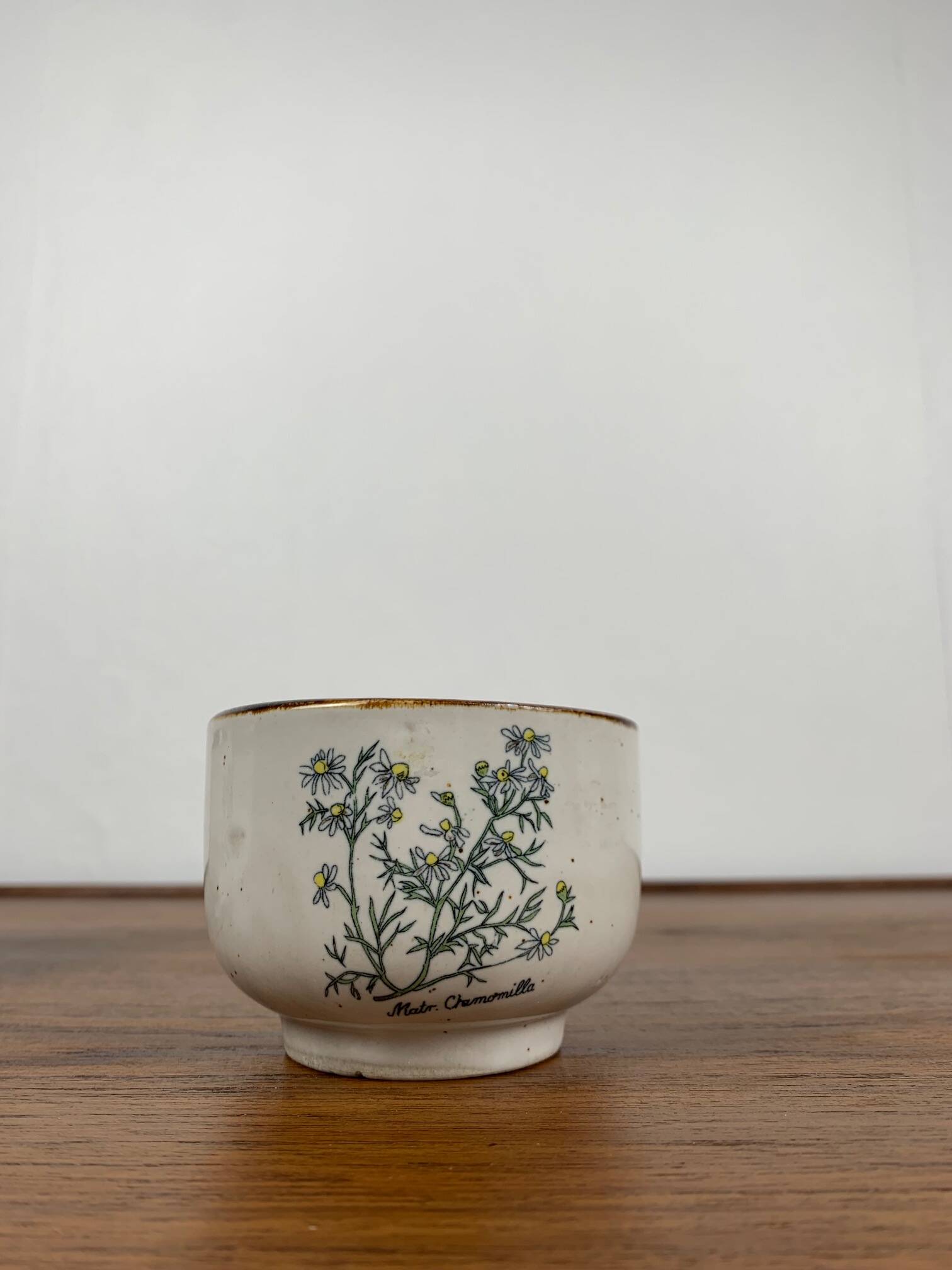 Set de 4 tasse à thé "herbier" , 1960/70, céramique