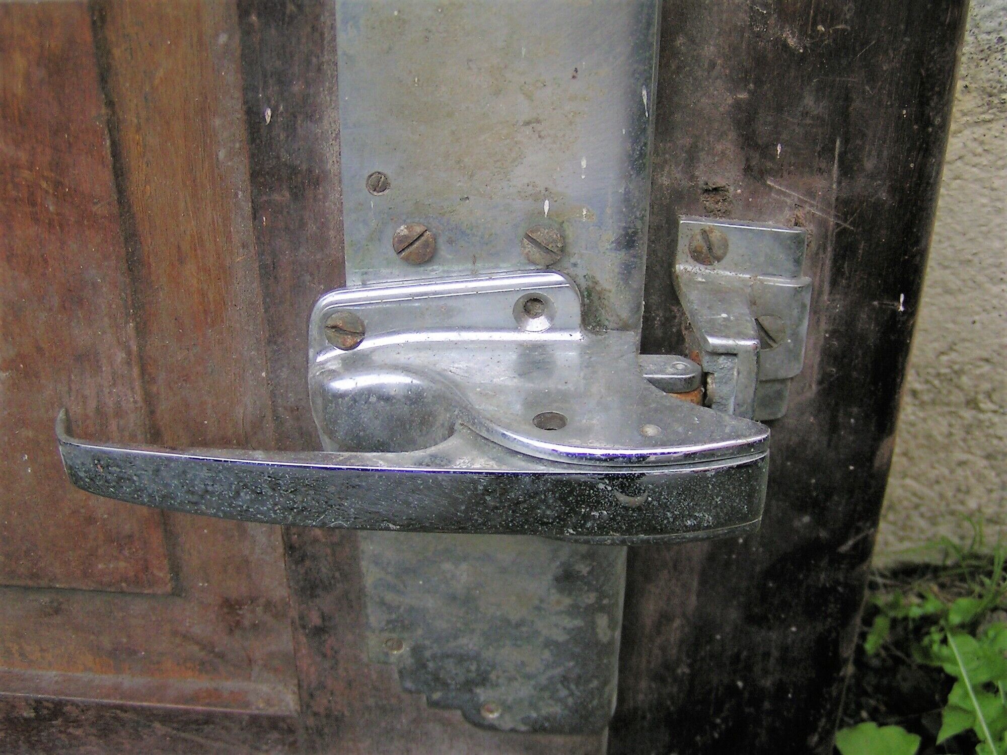 Door of fridge or cooler for slaughter in oak 50s