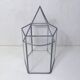 Verrière terrarium mini serre à cactus en verre et métal