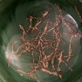 Venini green glass ashtray  Italy Toni Zuccheri Murano Giade 1960