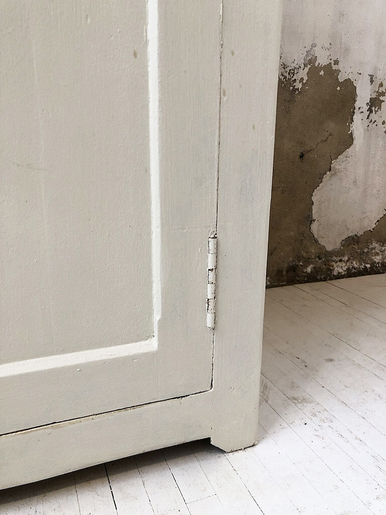 White pine confectioner