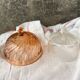 Cloche en verre