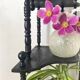 Corner shelf to place or hang in black lacquered wood
