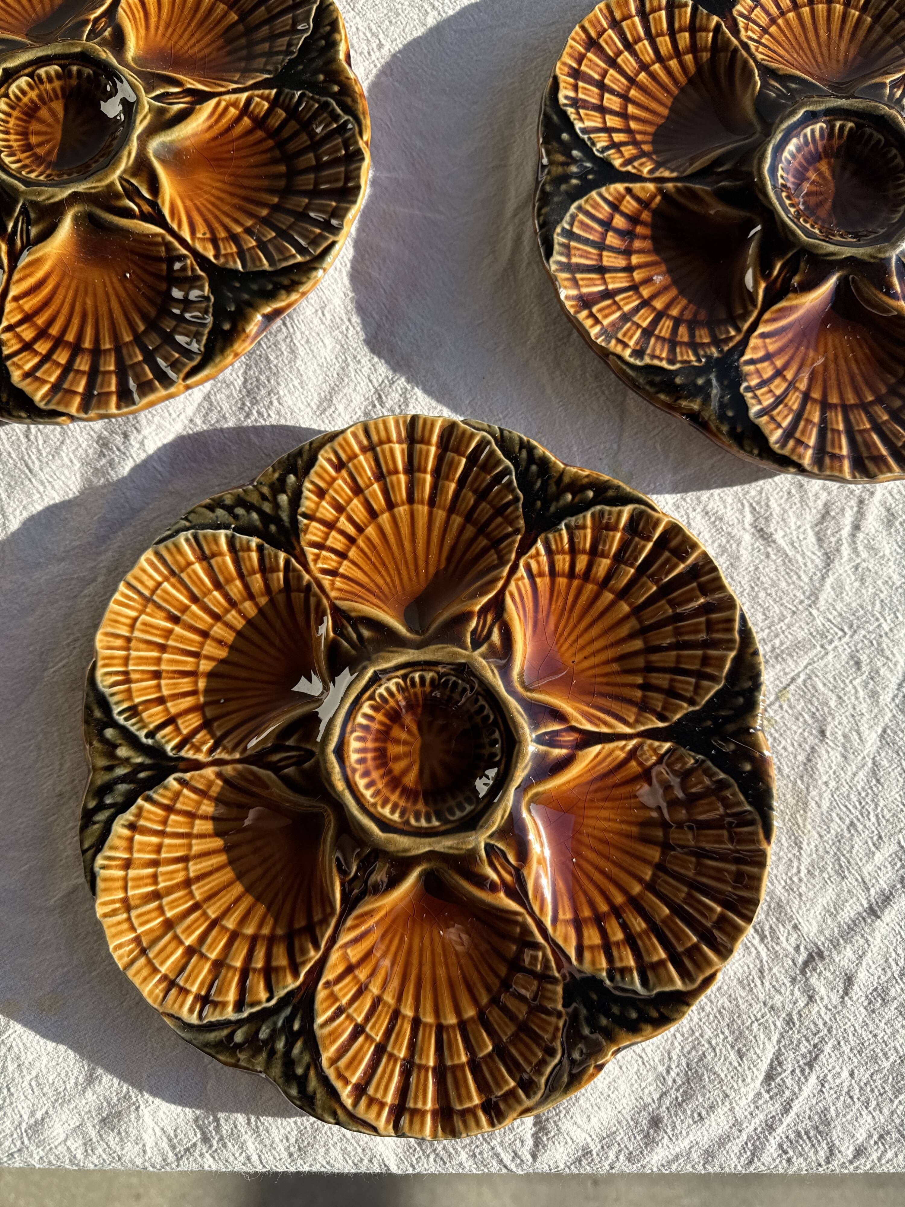 Set of 12 oyster or shell plates in glazed brown ceramic D
