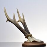 Karl Roegner Deer Massacre
