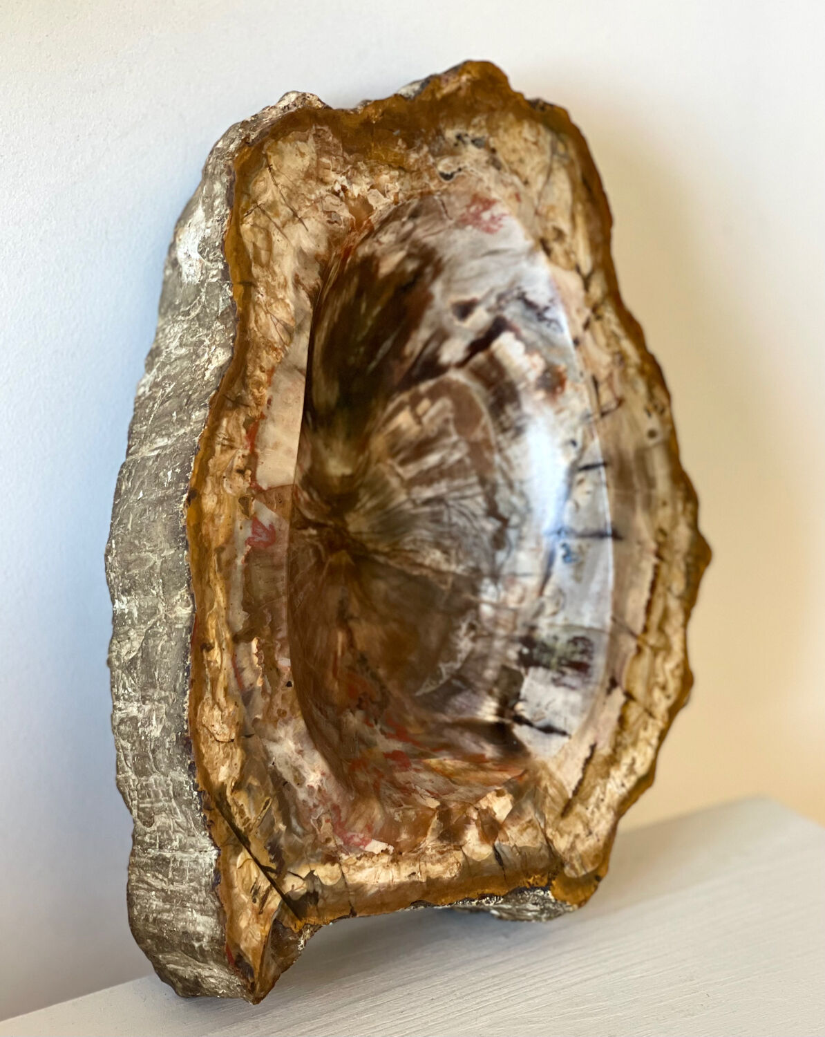 Petrified wood catchall