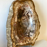 Petrified wood catchall