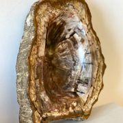 Petrified wood catchall