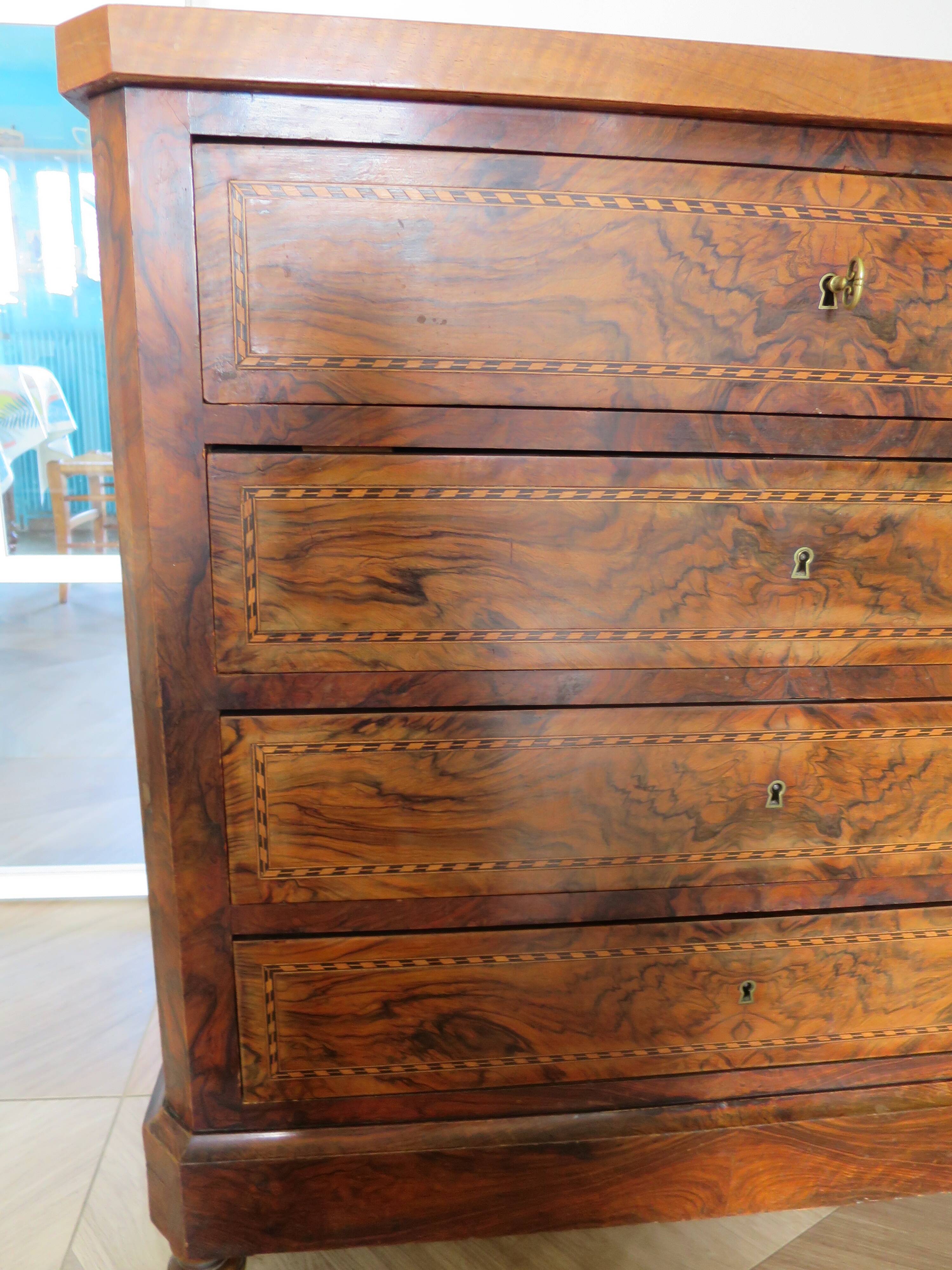 Antique oak burr chest of drawers - 4 drawers - marquetry inlay from the early 21st century