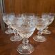6 crystal glasses of Saint Louis model Trianon h 14 cm