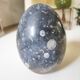 Fossil egg