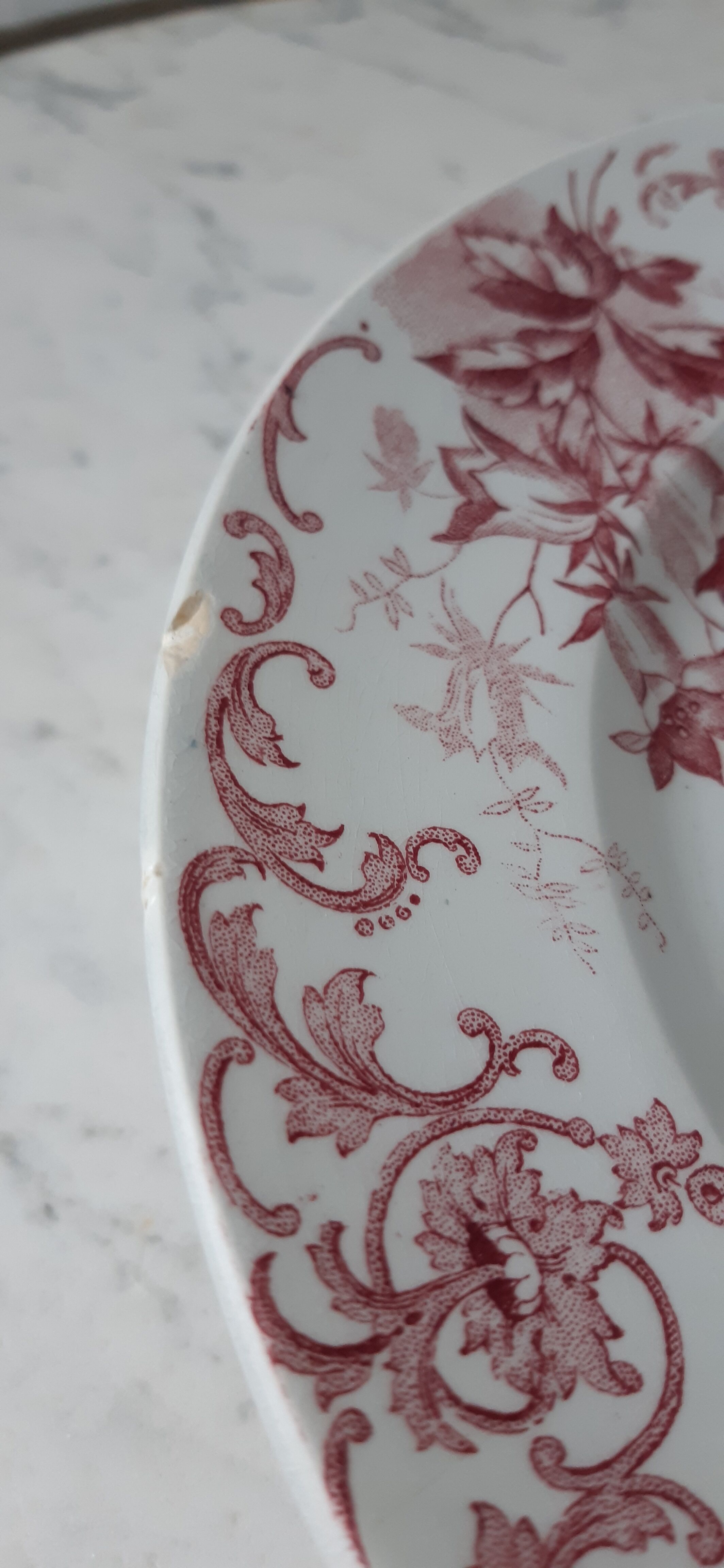Set of 5 flat plates Terre de Fer St Amand model "Campanule" mid XIXth