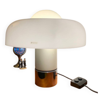 Brumbury lamp by Luigi Massoni for Guzzini, 1972