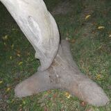 Foot cement garden table shape trunk