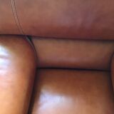 Fauteuil cuir Roche et Bobois