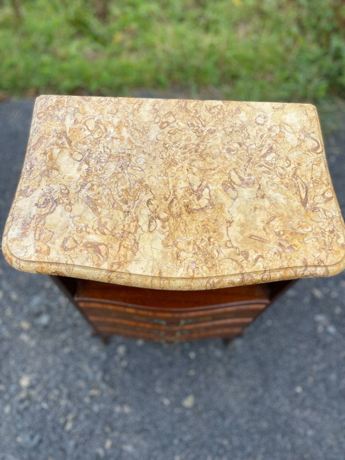 Louis XV style rosewood bedside table