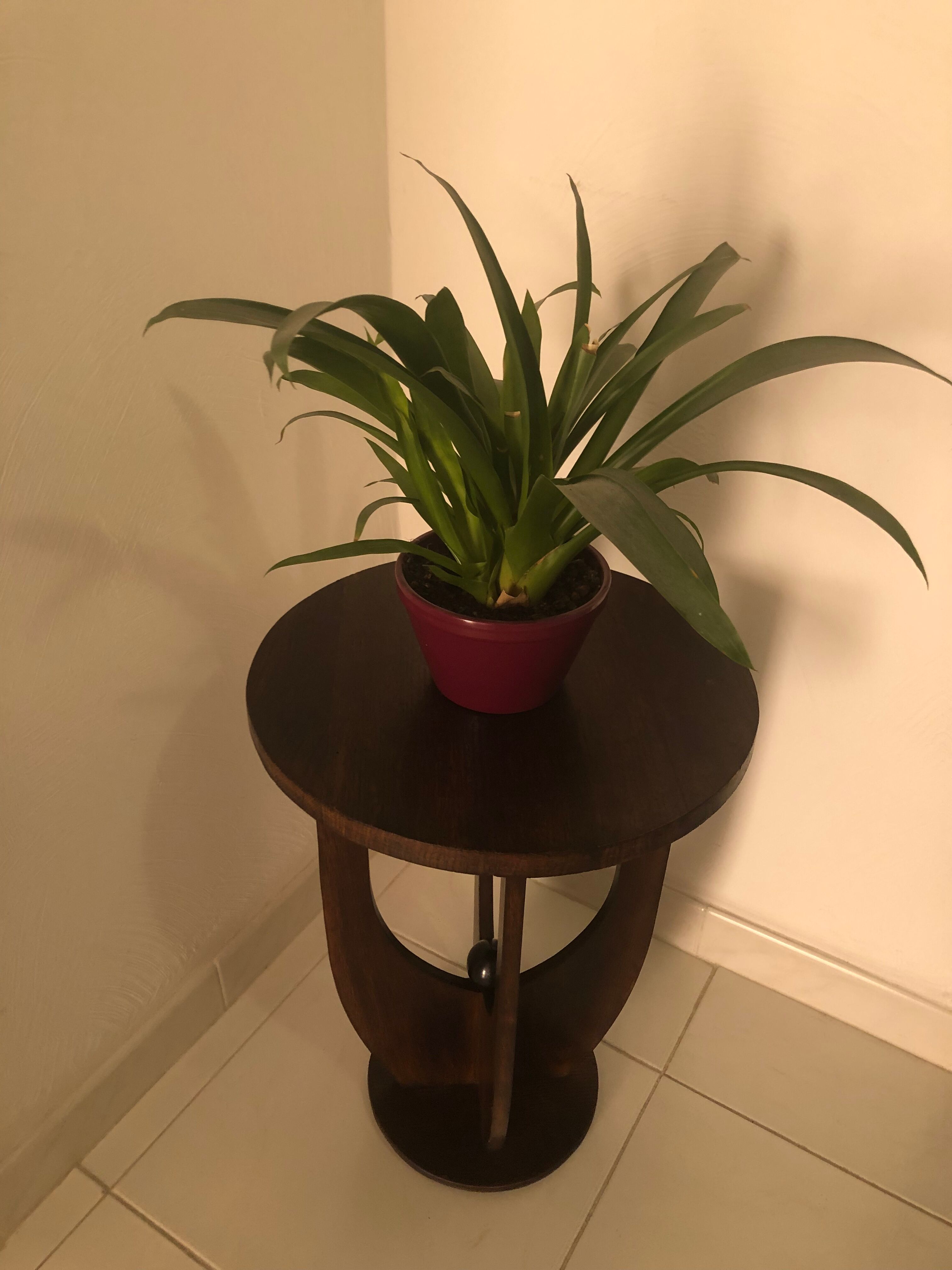 Art deco pedestal table