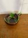 Antique vallauris green brown ceramic empty pocket frying pan wine caquelon
