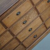 Antique French Light Oak Apothecary / Filing Cabinet, 1920/30s