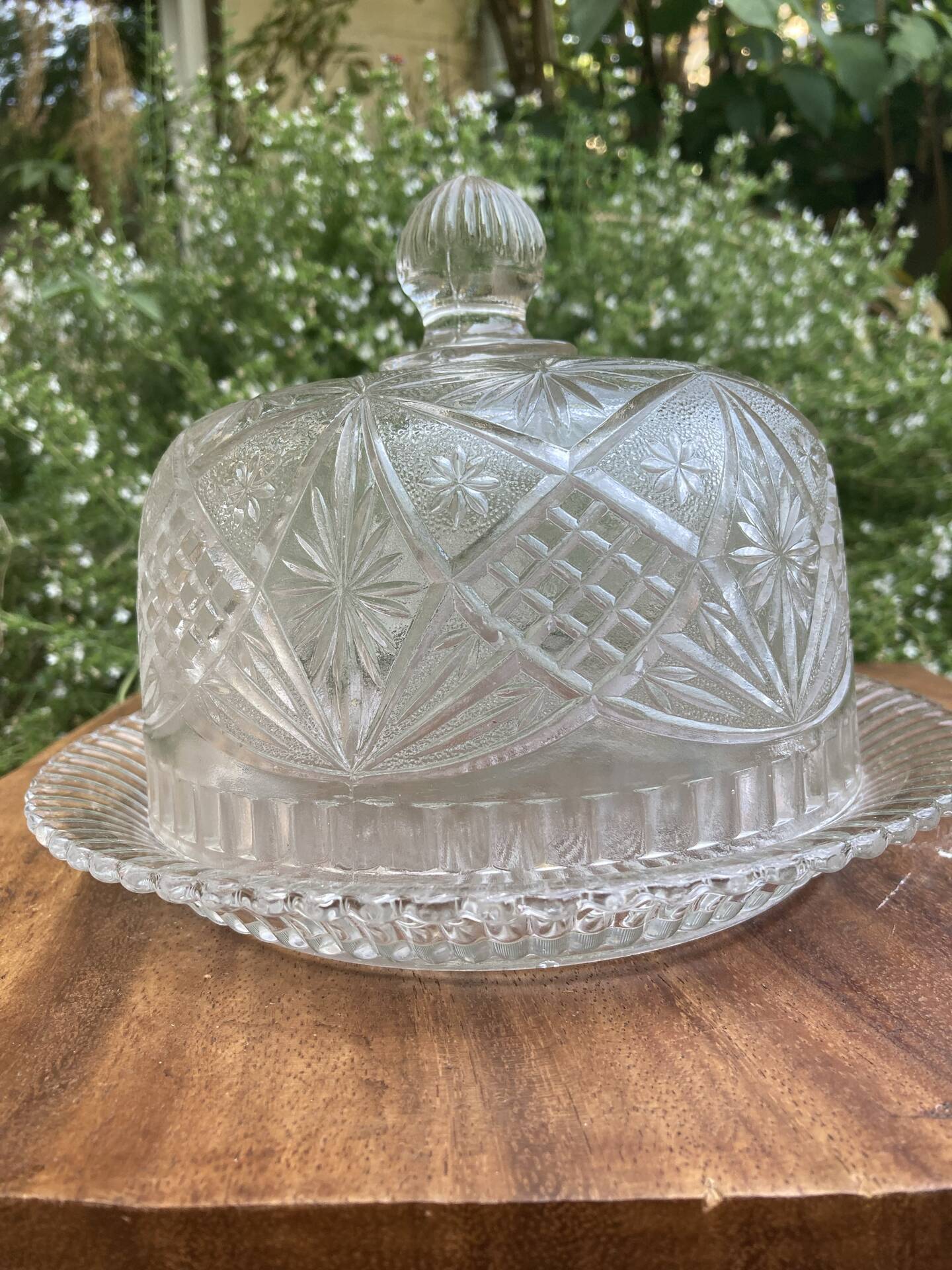 Pressed and moulded glass cheese dome