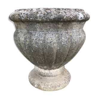 Medici Basin