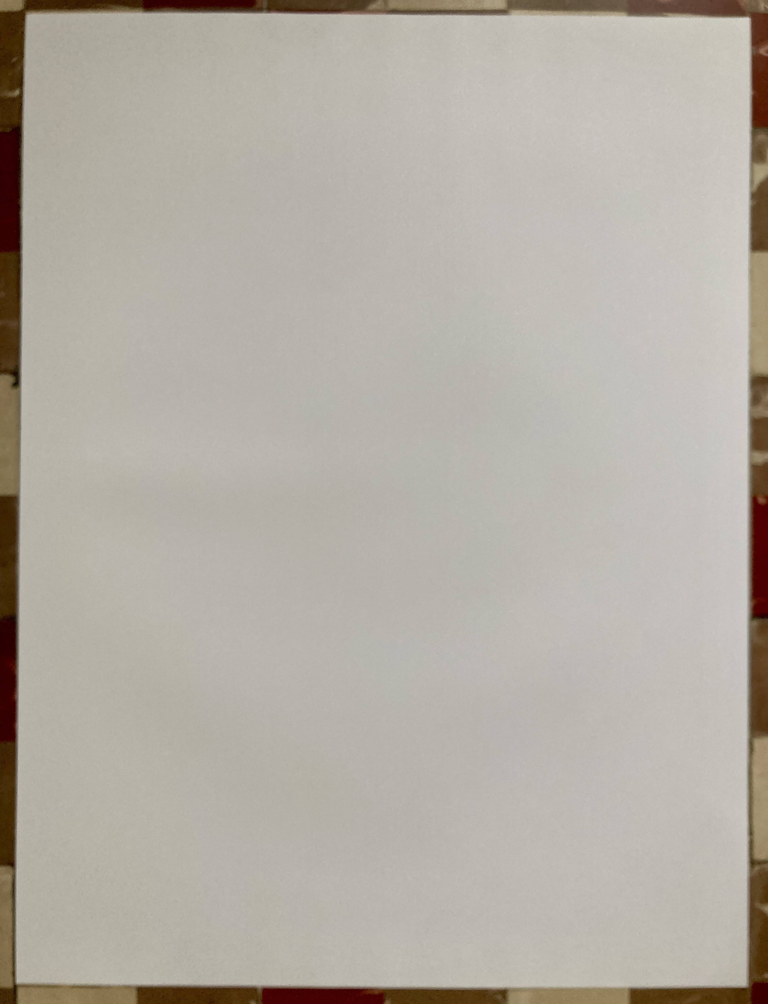 Poster - Birds of Camargue: the aviary