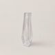 Vase Daum