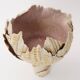 Large porcelain bud vase by Johannes Gebhardt