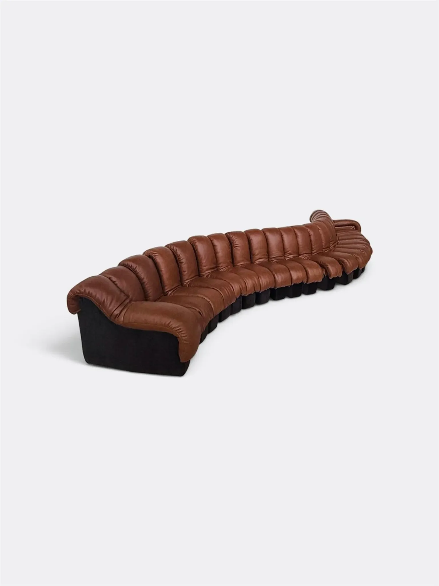 De Sede Ds600 Snake in cognac leather, 20 elements (in NEW CONDITION)!