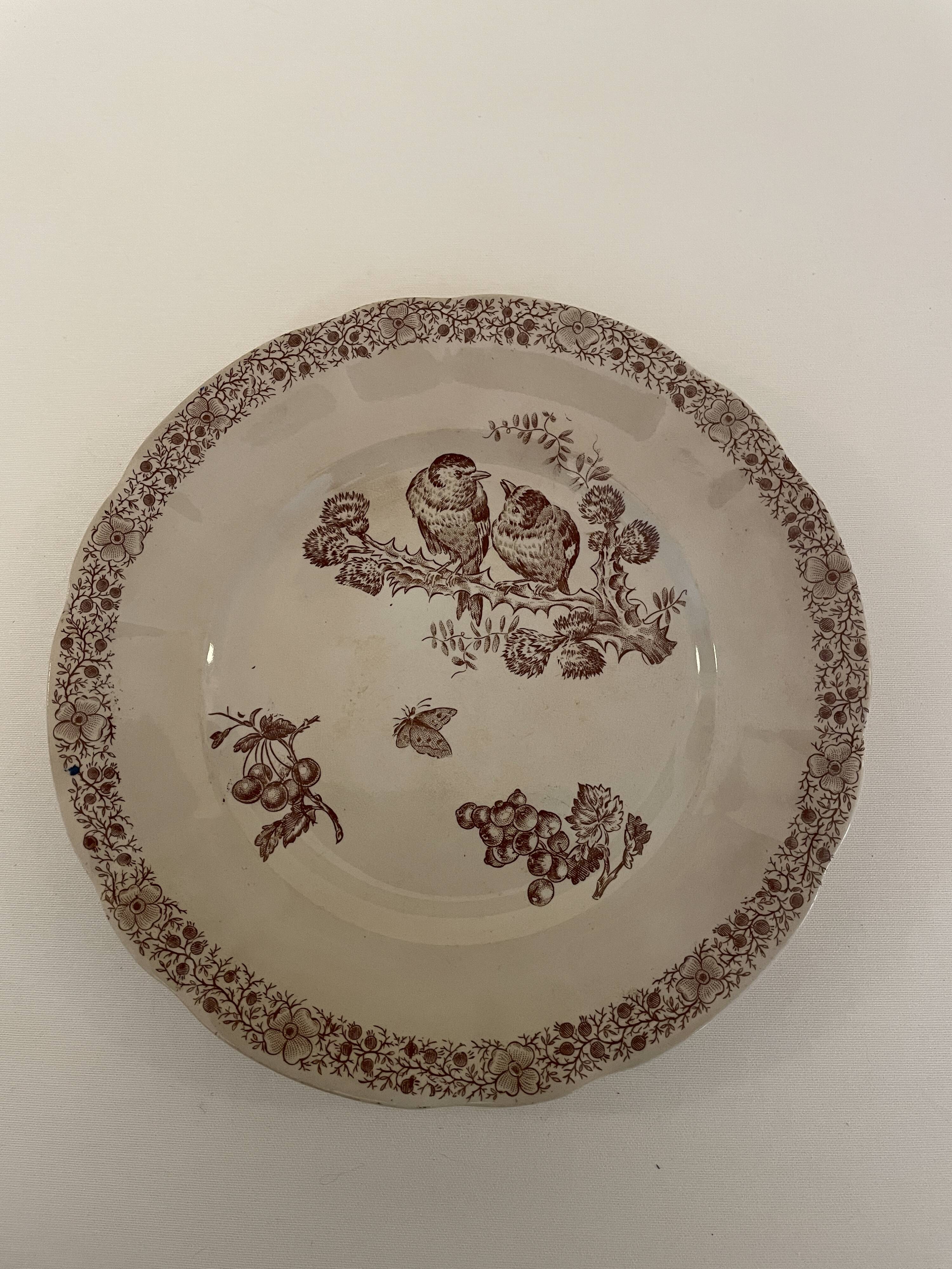 5 Assiettes faïence de Pexonne 19 ème siècle -Décor oiseaux insectes fleurs