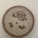 5 Assiettes faïence de Pexonne 19 ème siècle -Décor oiseaux insectes fleurs