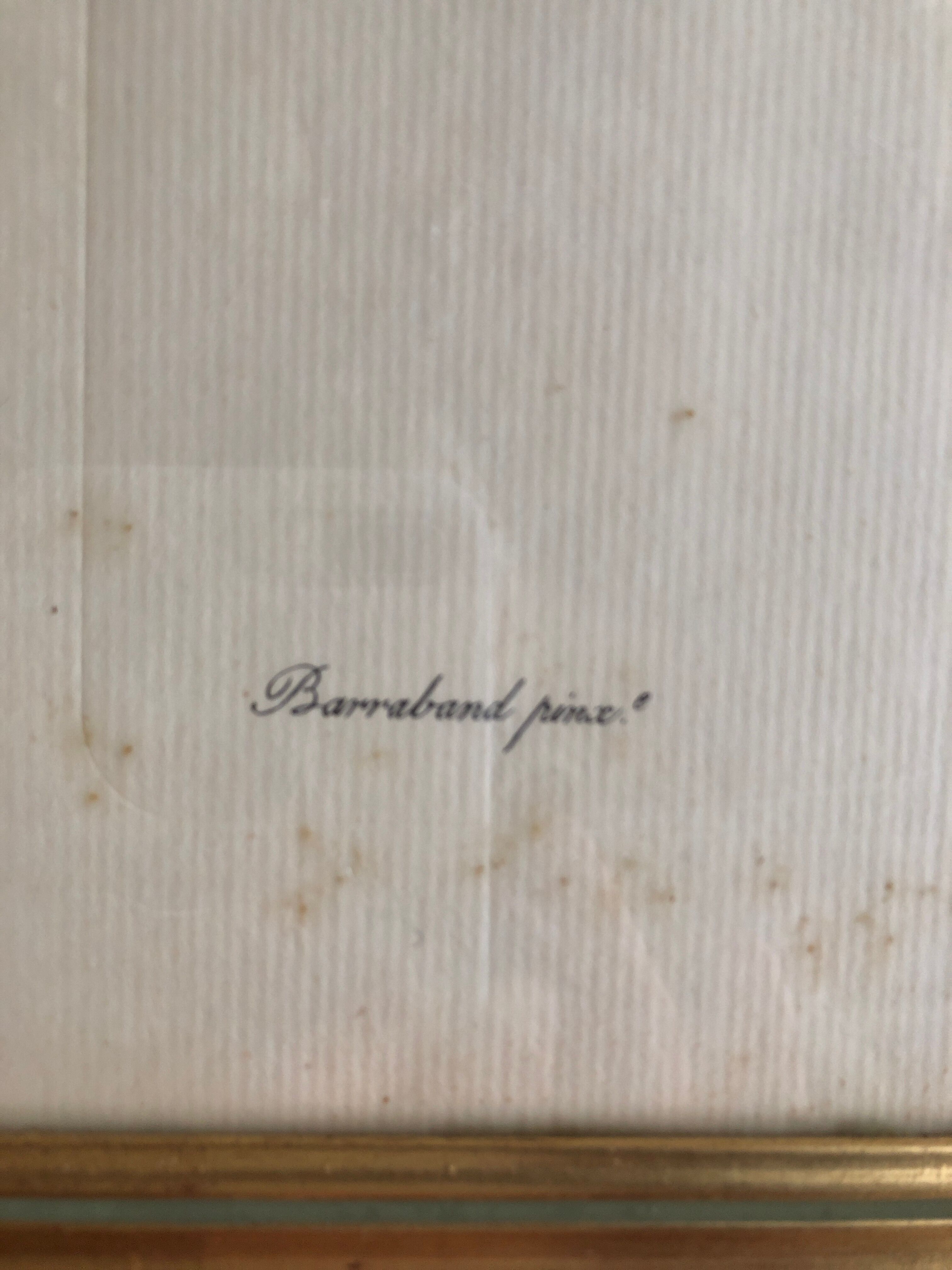 Engraving under glass "Blue Jay"