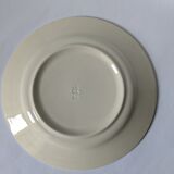 Plates canary yellow lines