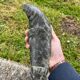 Statue, ancient Inuit sculpture in soapstone.
