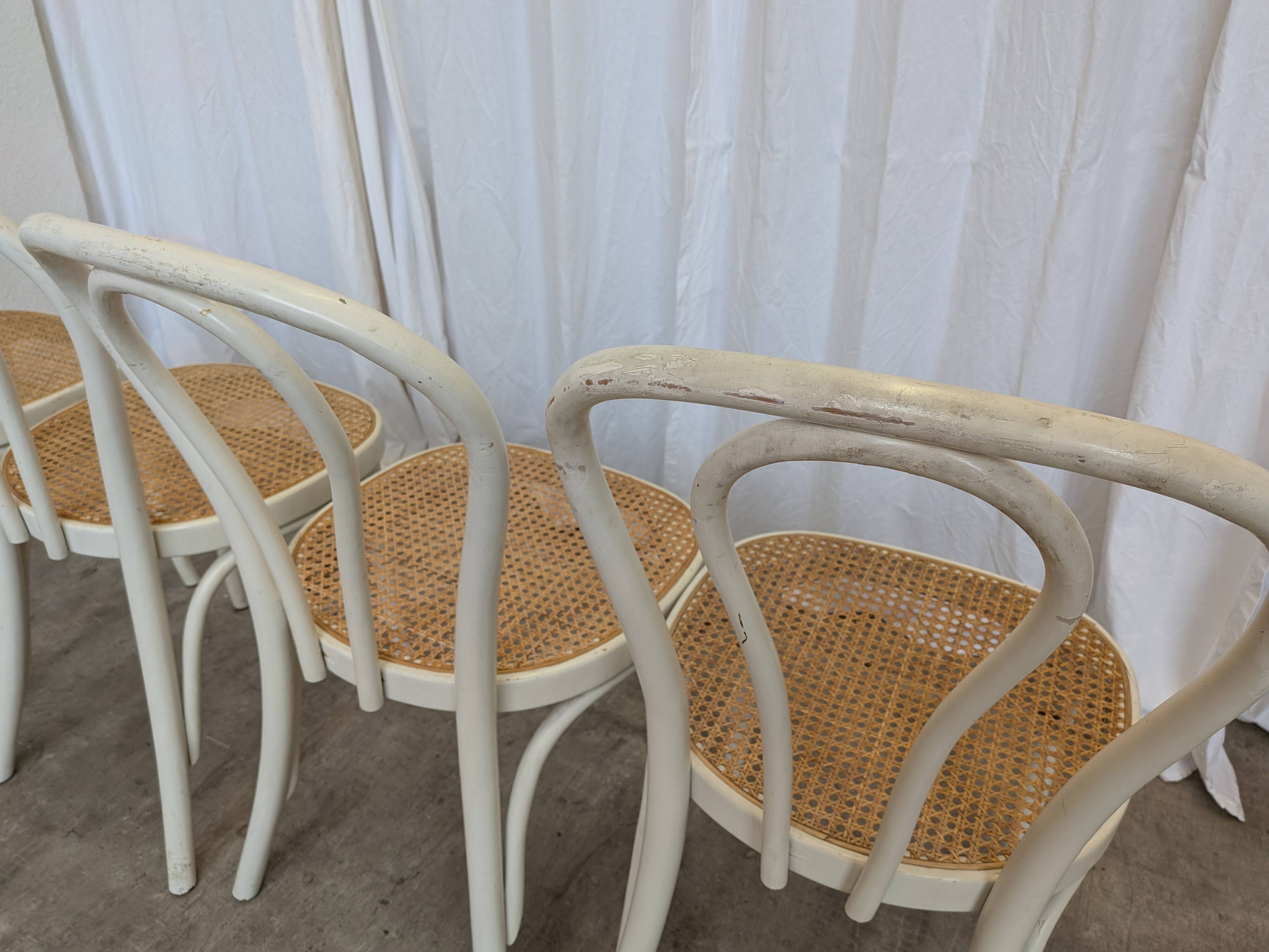 Set of 4 Vintage Thonet Style Dining Chairs: White Wood & Cane Seat
