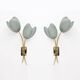 Pair of Tulips Murano Glass and Brass Sconces