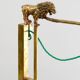lampe